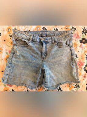 American Eagle Outfitters Light Blue Women's Denim Cutoff Shorts
